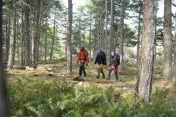 Winddichte Softshelljas Voor Bergtrekking Dames Trek 900 -Regatta Verkoopwinkel winddichte en warme softshelljas voor backpacken voor dames mt900 19